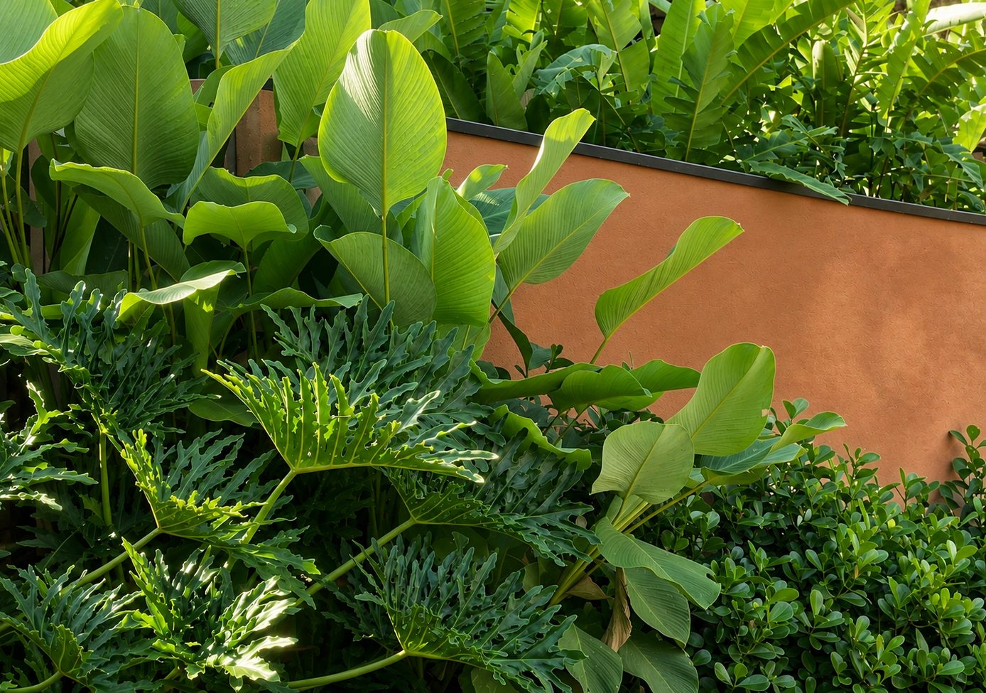 Detalhe de folhagens tropicais