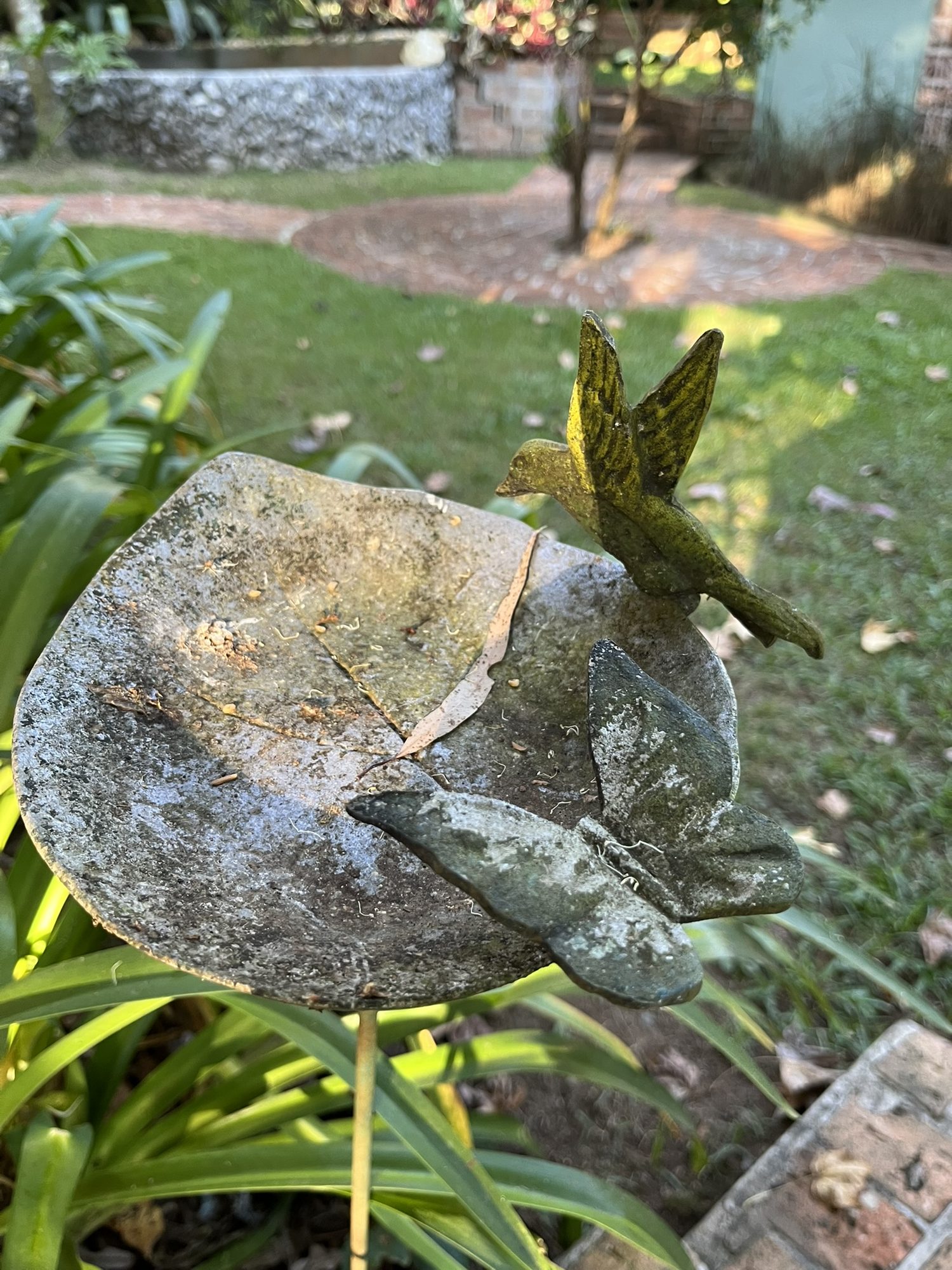 Bebedouro de pássaros no jardim