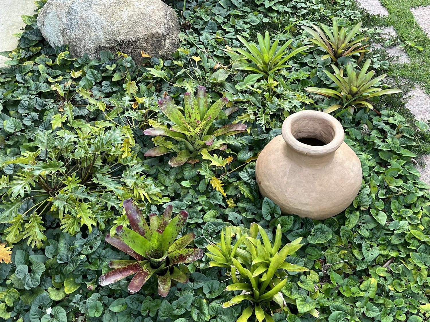 Composição de bromélias e vaso de barro